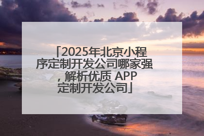 2025年北京小程序定制开发公司哪家强，解析优质 APP 定制开发公司