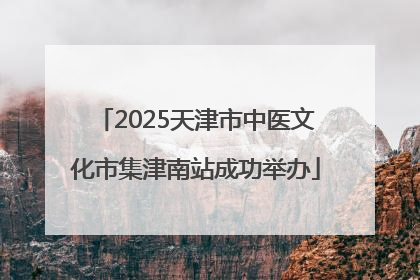 2025天津市中医文化市集津南站成功举办