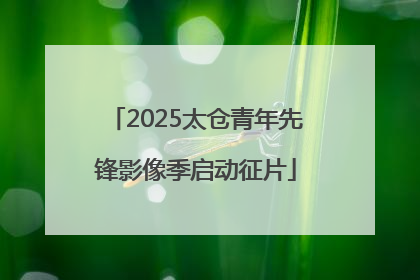 2025太仓青年先锋影像季启动征片