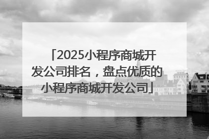 2025小程序商城开发公司排名，盘点优质的小程序商城开发公司