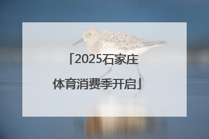 2025石家庄体育消费季开启