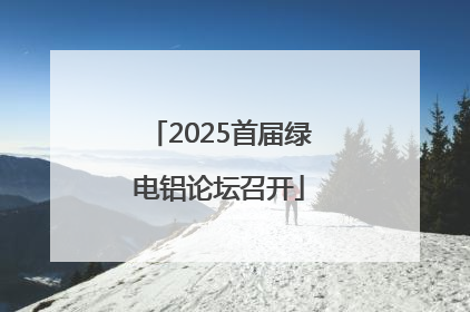 2025首届绿电铝论坛召开