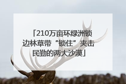 210万亩环绿洲锁边林草带“锁住”夹击民勤的两大沙漠