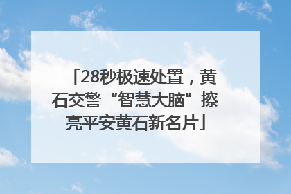 28秒极速处置，黄石交警“智慧大脑”擦亮平安黄石新名片