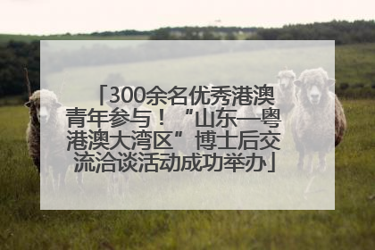300余名优秀港澳青年参与！“山东—粤港澳大湾区”博士后交流洽谈活动成功举办
