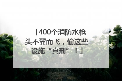 400个消防水枪头不翼而飞，偷这些设施“真刑”！