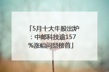 5月十大牛股出炉：中邮科技逾157%涨幅问鼎榜首