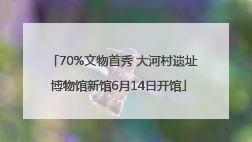 70%文物首秀 大河村遗址博物馆新馆6月14日开馆