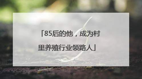 85后的他，成为村里养殖行业领路人