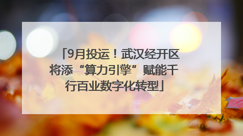 9月投运！武汉经开区将添“算力引擎”赋能千行百业数字化转型