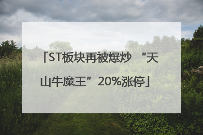 ST板块再被爆炒 “天山牛魔王”20%涨停